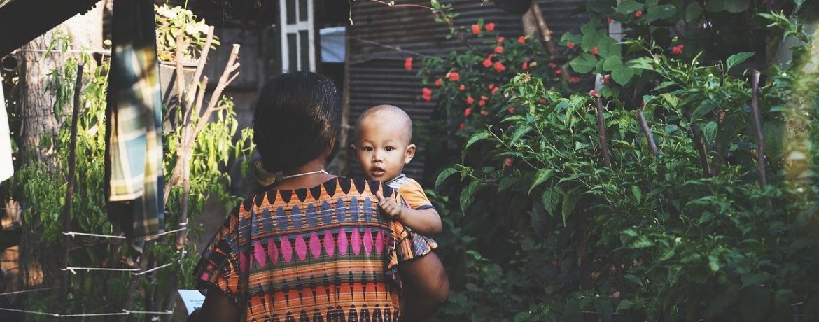 creer des espaces verts dans votre domicile