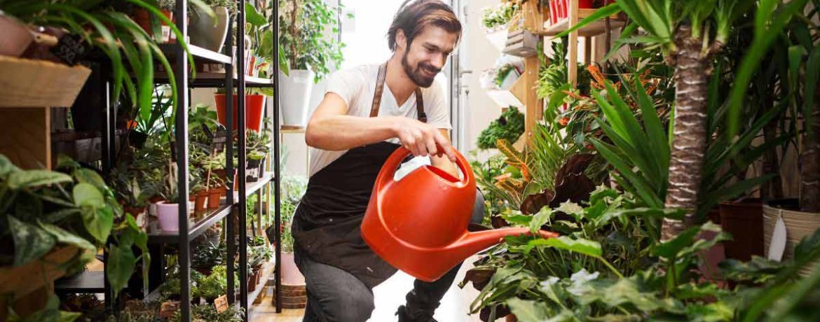 Prenez soin de vos plantes