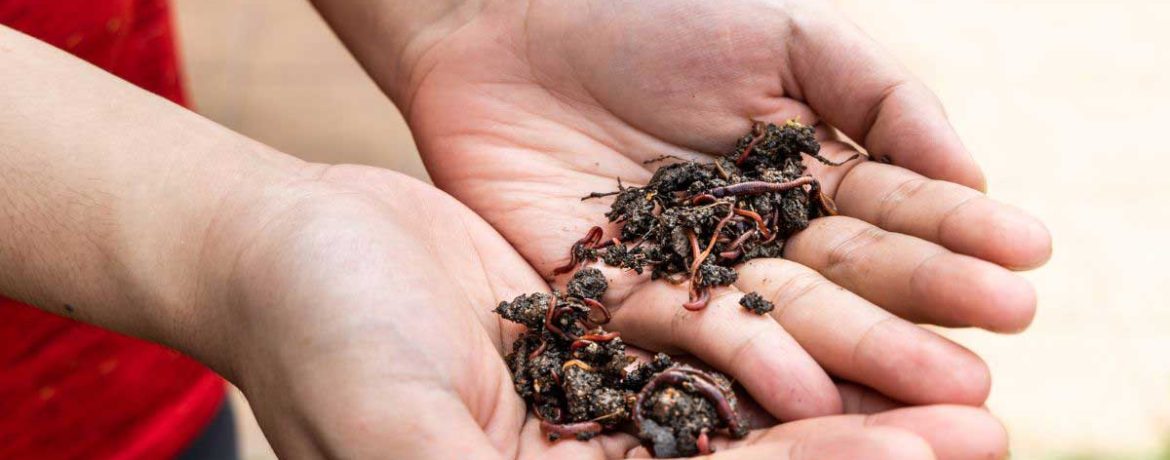 Améliorez la qualité de votre compost avec ces accessoires