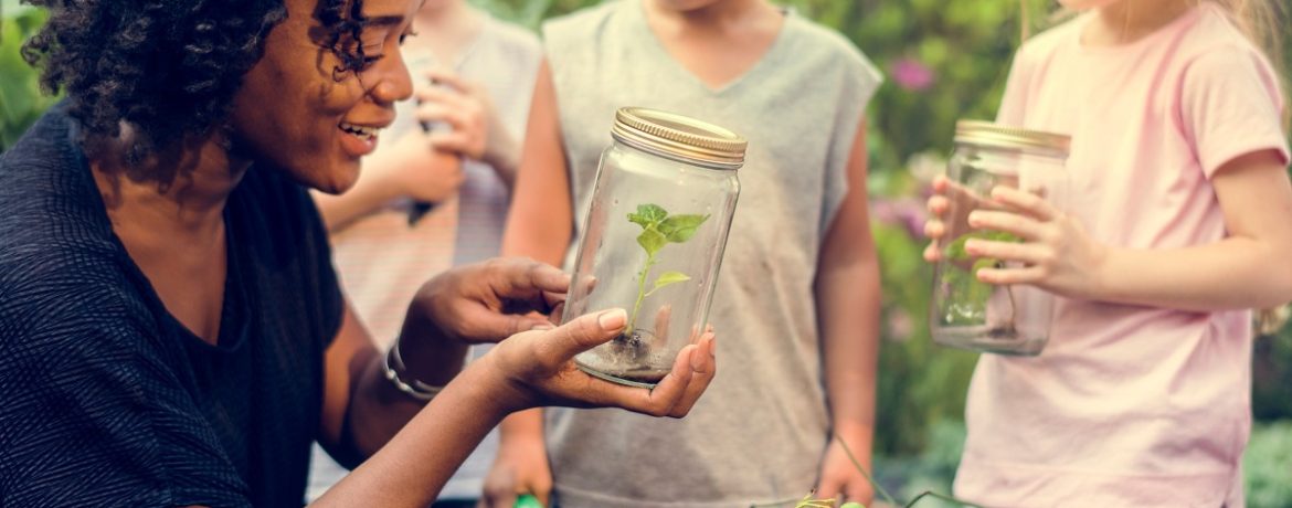 7-Les jardins scolaires