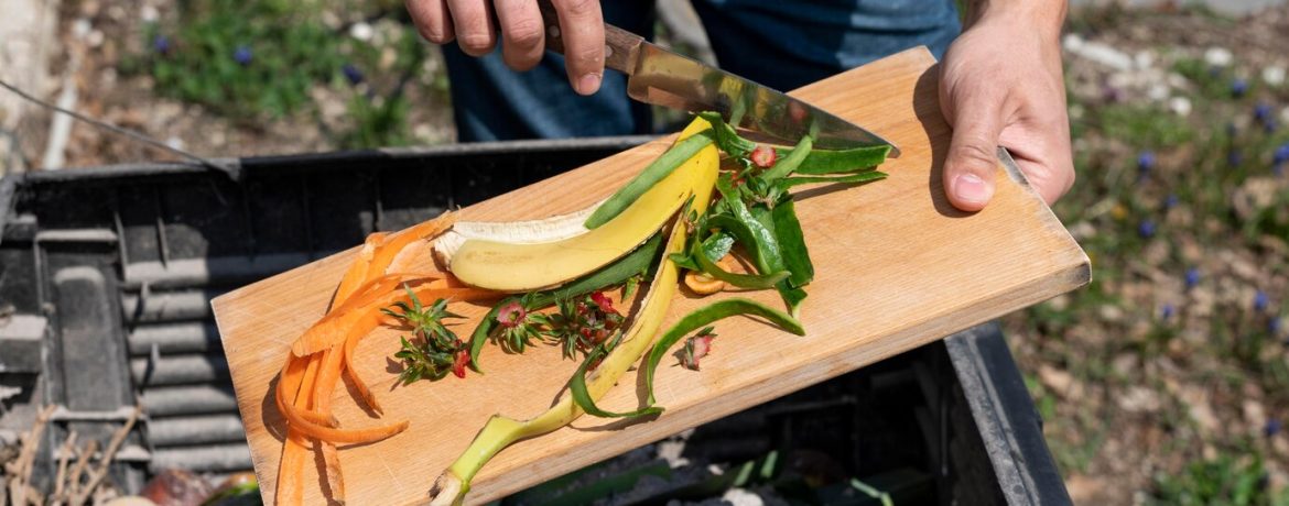 Obtenez un compost de qualité pour un jardin florissant : les conseils à suivre