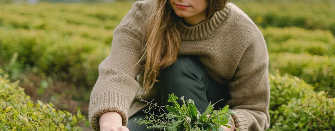 Optimisez votre temps de jardinage en réduisant la présence des mauvaises herbes