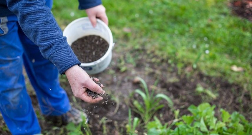 Pourquoi attendre ? Transformez votre jardin dès maintenant avec le guano !