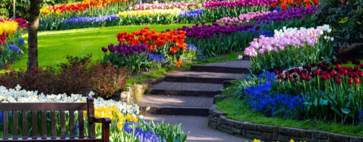 Des jardins à couper le souffle