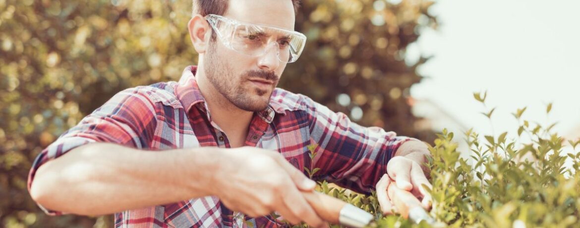 1-Élagage et impôts