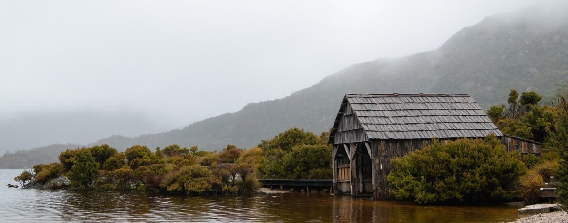 découvrez comment construire un abri de jardin robuste et fonctionnel grâce à nos conseils pratiques, étapes détaillées et astuces pour réussir votre projet de shed facilement.