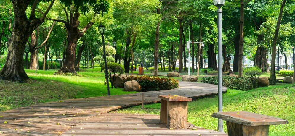 aménagement de jardin