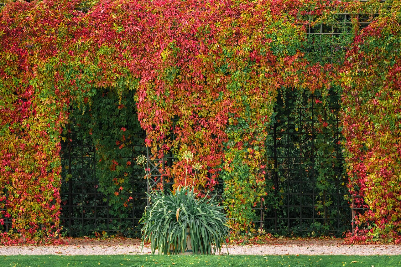 découvrez nos pergolas bioclimatiques modernes qui allient design et confort pour profiter de votre extérieur en toute saison.