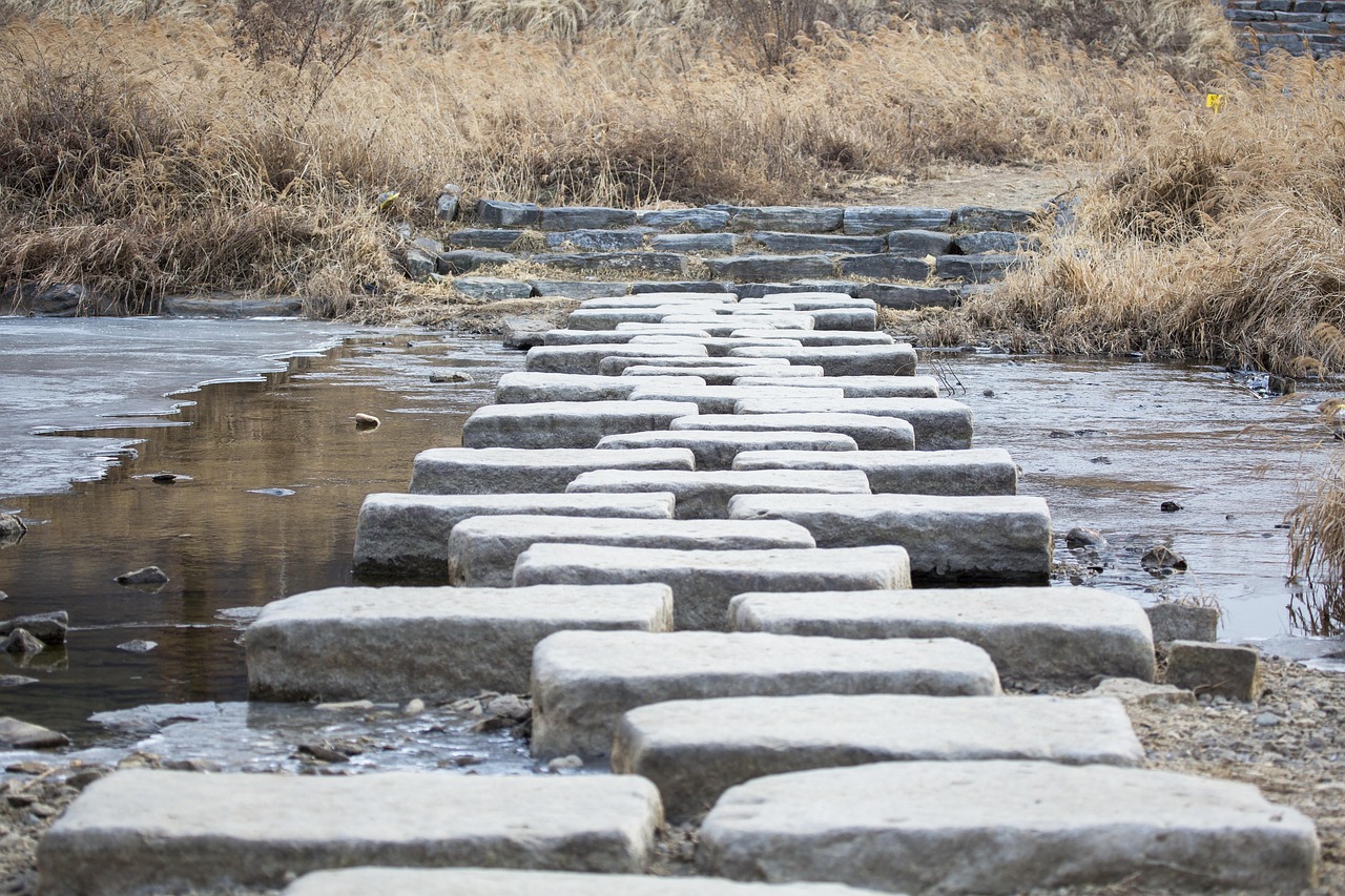 découvrez l'élégance des pas japonais avec nos pierres de jardin traditionnelles, idéales pour créer un chemin zen et harmonieux dans votre espace extérieur.