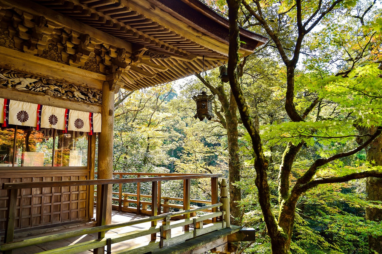 découvrez nos pierres d'étape japonaises authentiques, idéales pour créer un jardin zen paisible et élégant. parfaites pour une décoration extérieure harmonieuse et durable.