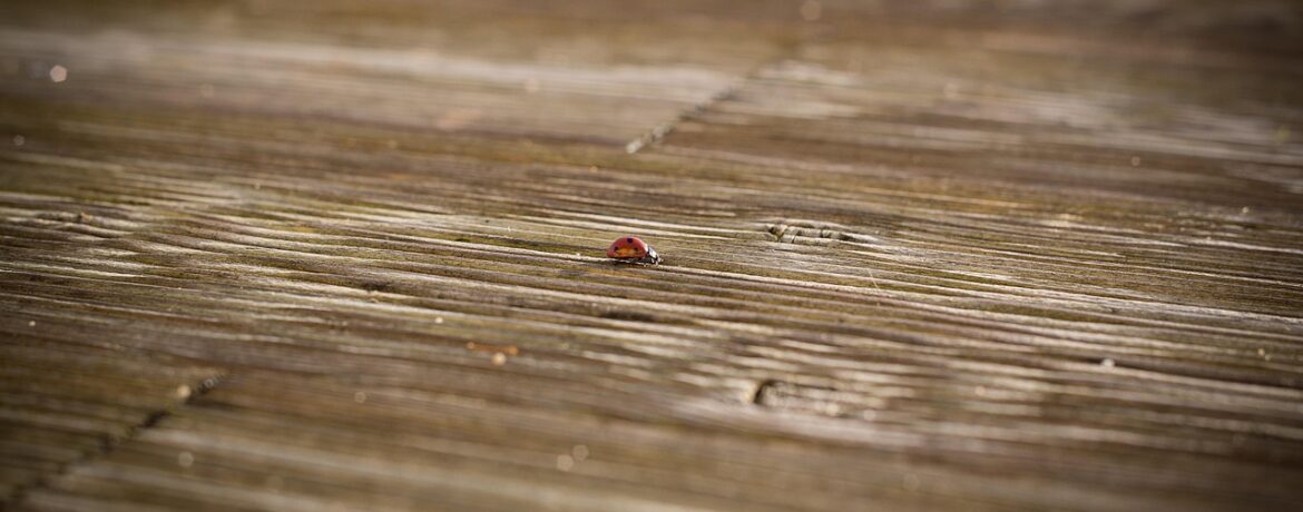 découvrez nos solutions de revêtement de terrasse alliant esthétique et durabilité pour sublimer votre espace extérieur.