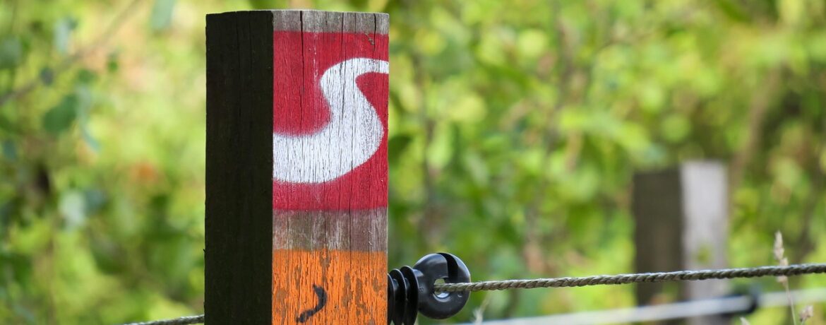 découvrez tout sur les clôtures électriques : installations, avantages, et conseils pour sécuriser efficacement vos espaces.