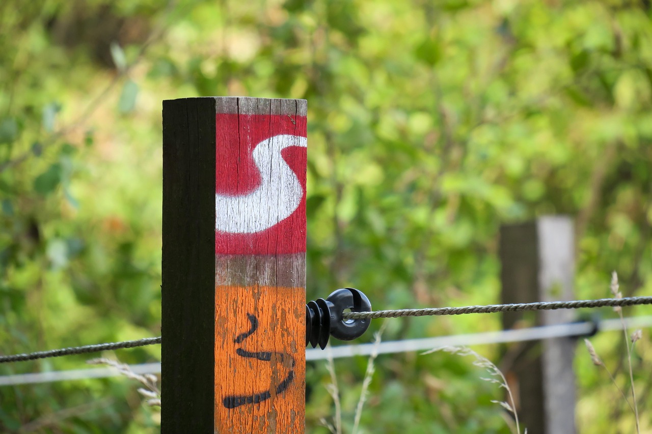 découvrez tout sur les clôtures électriques : installations, avantages, et conseils pour sécuriser efficacement vos espaces.