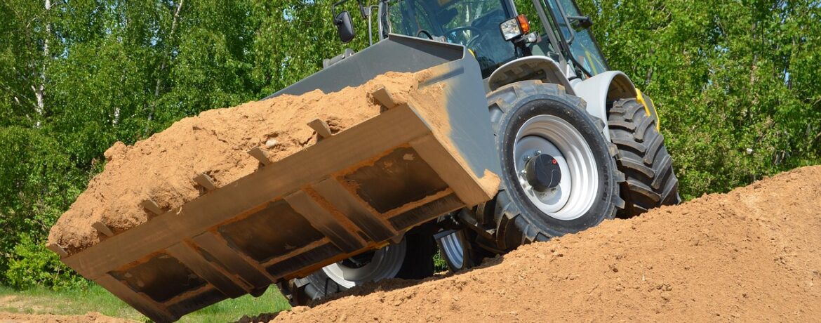découvrez comment les travaux d'excavation peuvent affecter la santé des arbres et les meilleures pratiques pour minimiser leur impact environnemental.