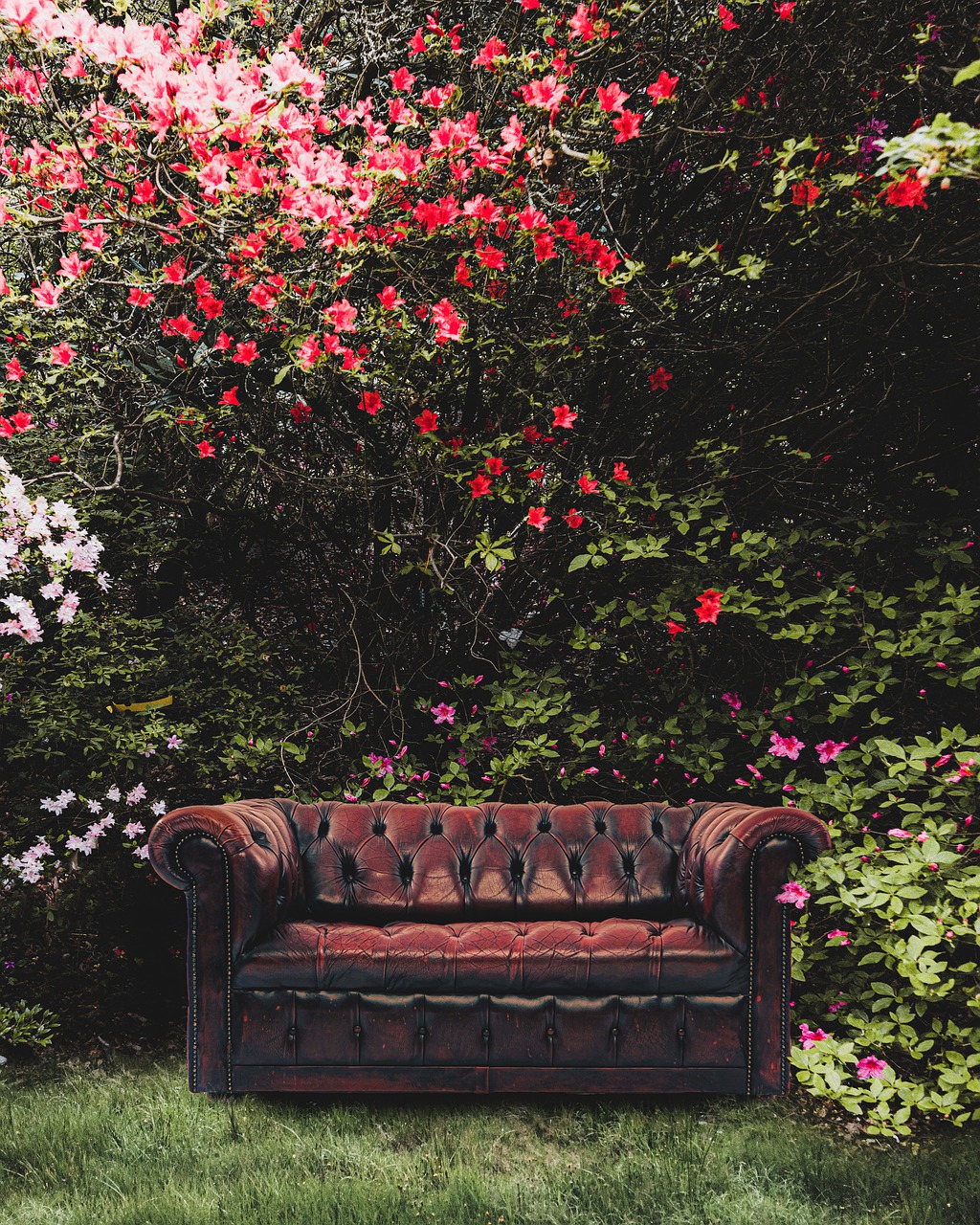 découvrez notre sélection de mobilier de jardin alliant confort et élégance pour sublimer vos espaces extérieurs toute l'année.