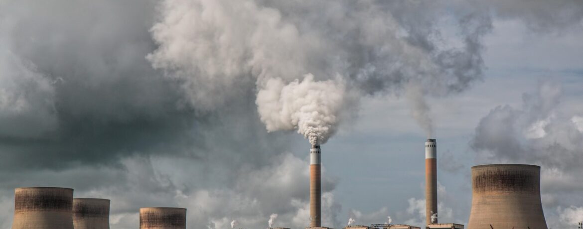 découvrez les plantes dépolluantes qui apportent une touche de verdure à votre intérieur et contribuent à créer une atmosphère plus agréable.