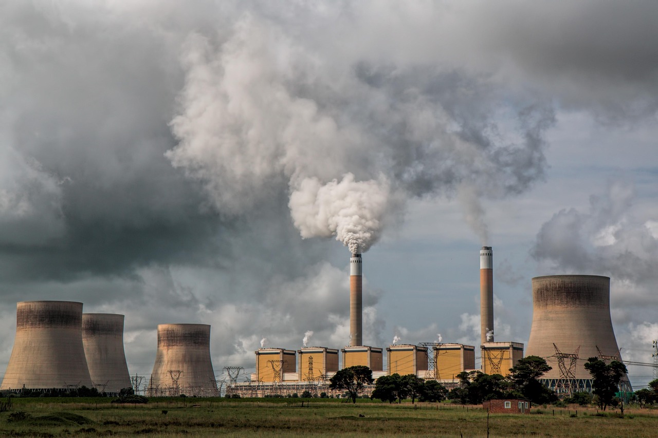 découvrez les plantes dépolluantes qui apportent une touche de verdure à votre intérieur et contribuent à créer une atmosphère plus agréable.