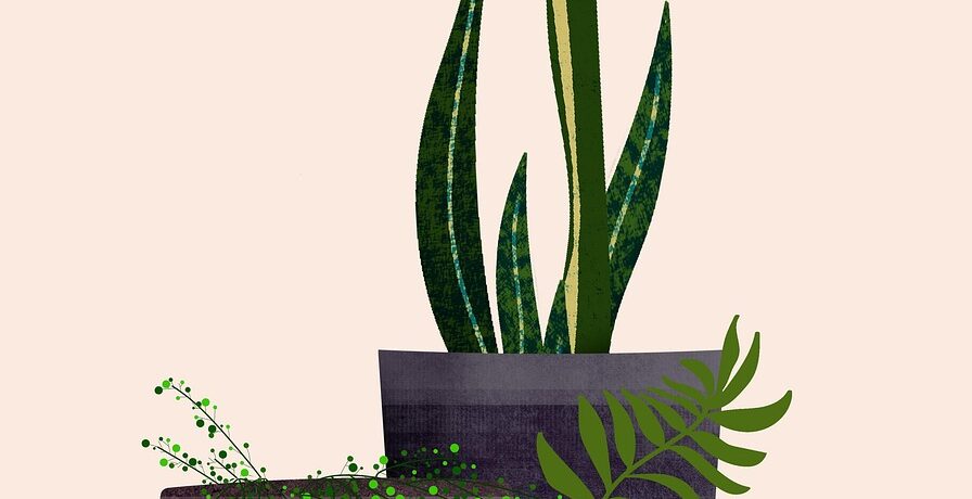 découvrez les plantes dépolluantes qui apportent une touche de verdure à votre intérieur et contribuent à créer une ambiance plus agréable.